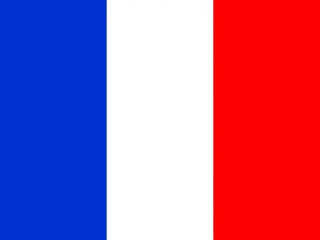 73586171-bandera-de-francia-vector